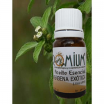 Aceite esencial VERBENA EXOTICA 10ml - Aromaterapia