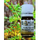 Aceite esencial INCIENSO puro Olibano 5ml - Aromaterapia